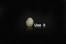 Funny Thinking Brain Slogan Wallpaper