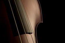 Double Bass Strings Wallpaper
