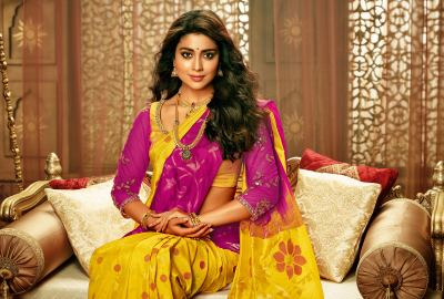 Sexy Shriya Saran in Pink Yellow Saree Sitting Wallpaper