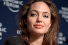 Angelina Jolie Hollywood Celebrity HD Wallpapers