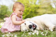 Little Beautiful Girl With Dog