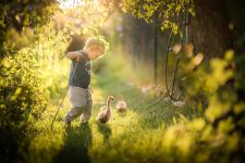 Little Boy Playing With Duck
