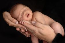 Newborn Baby in Hands
