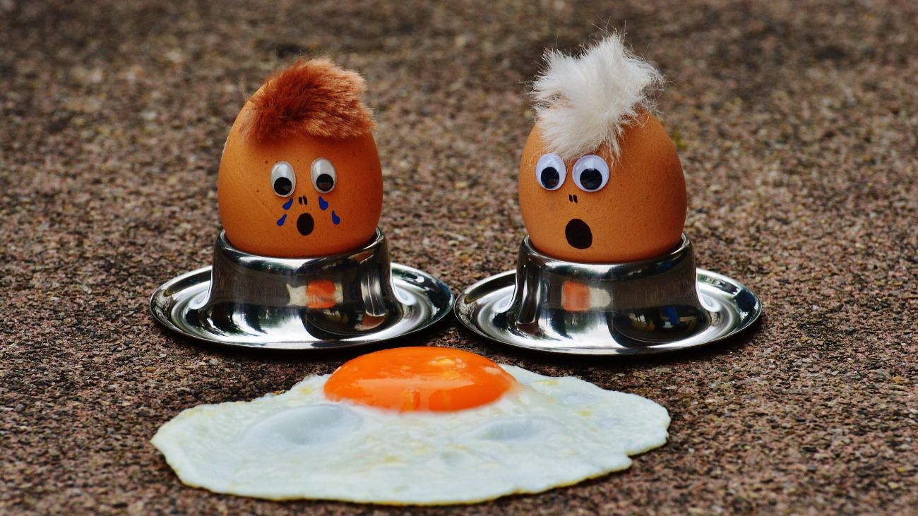 Funny Eggs Hd Wallpaper