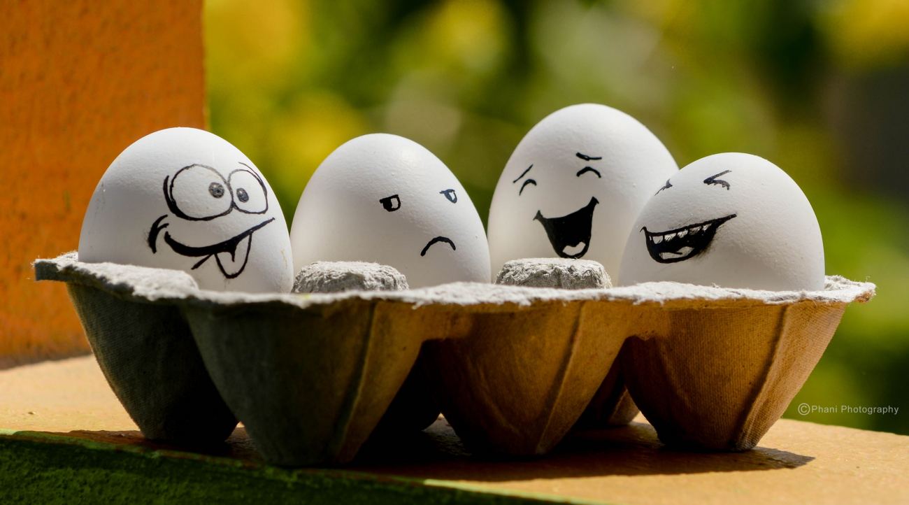 Funny Eggs Wallpaper