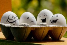 Funny Eggs Wallpaper