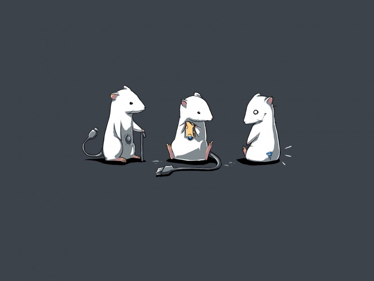 Funny Hd Wallpaper