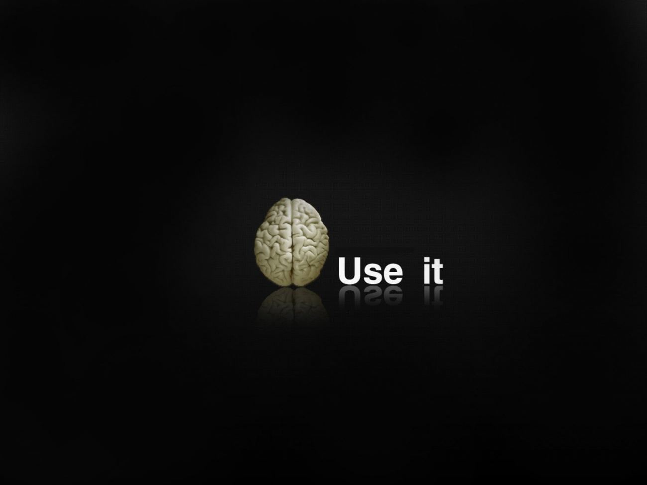 Funny Thinking Brain Slogan Wallpaper