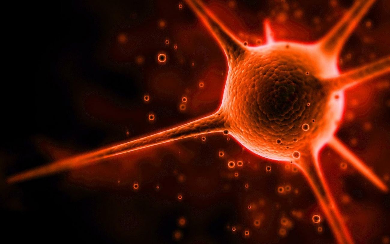 Corona Virus HD Wallpaper