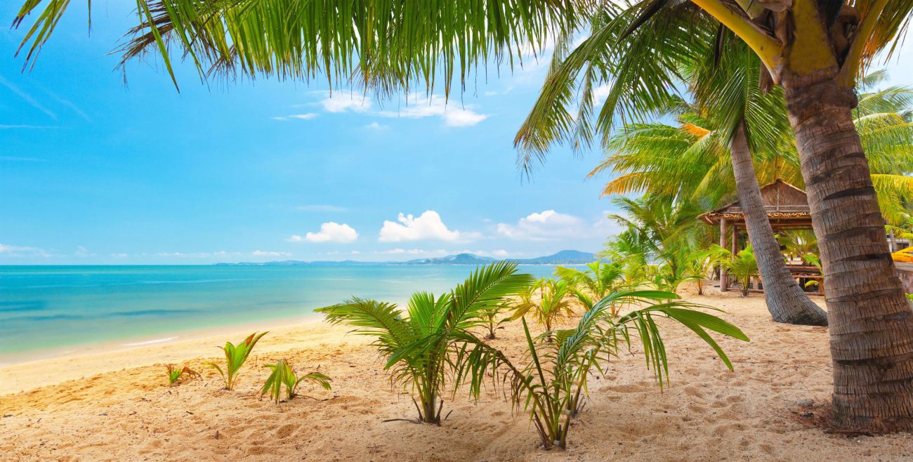 Beautiful Tropical Landscape Sand Sea Nature HD Wallpaper