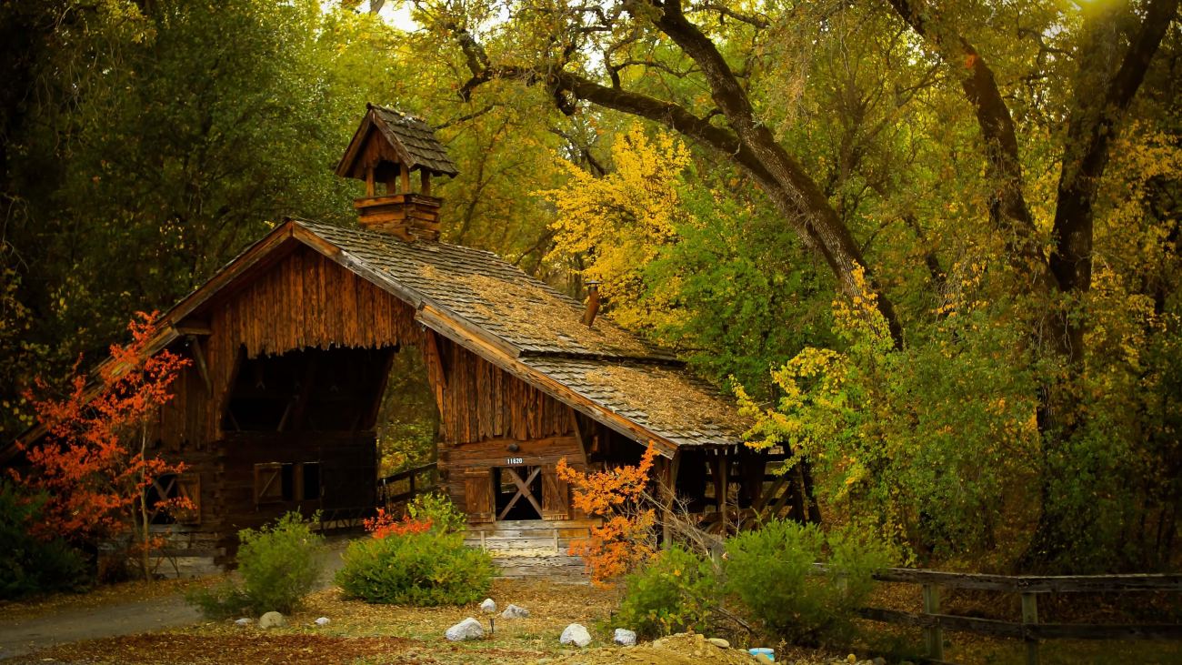 Wood House Forest Landscape Widescreen Wallpaper
