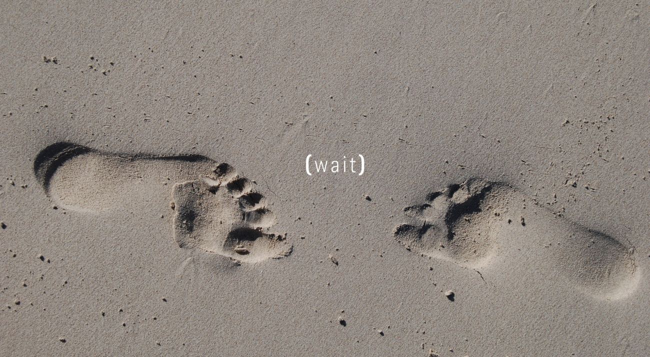 Footprints