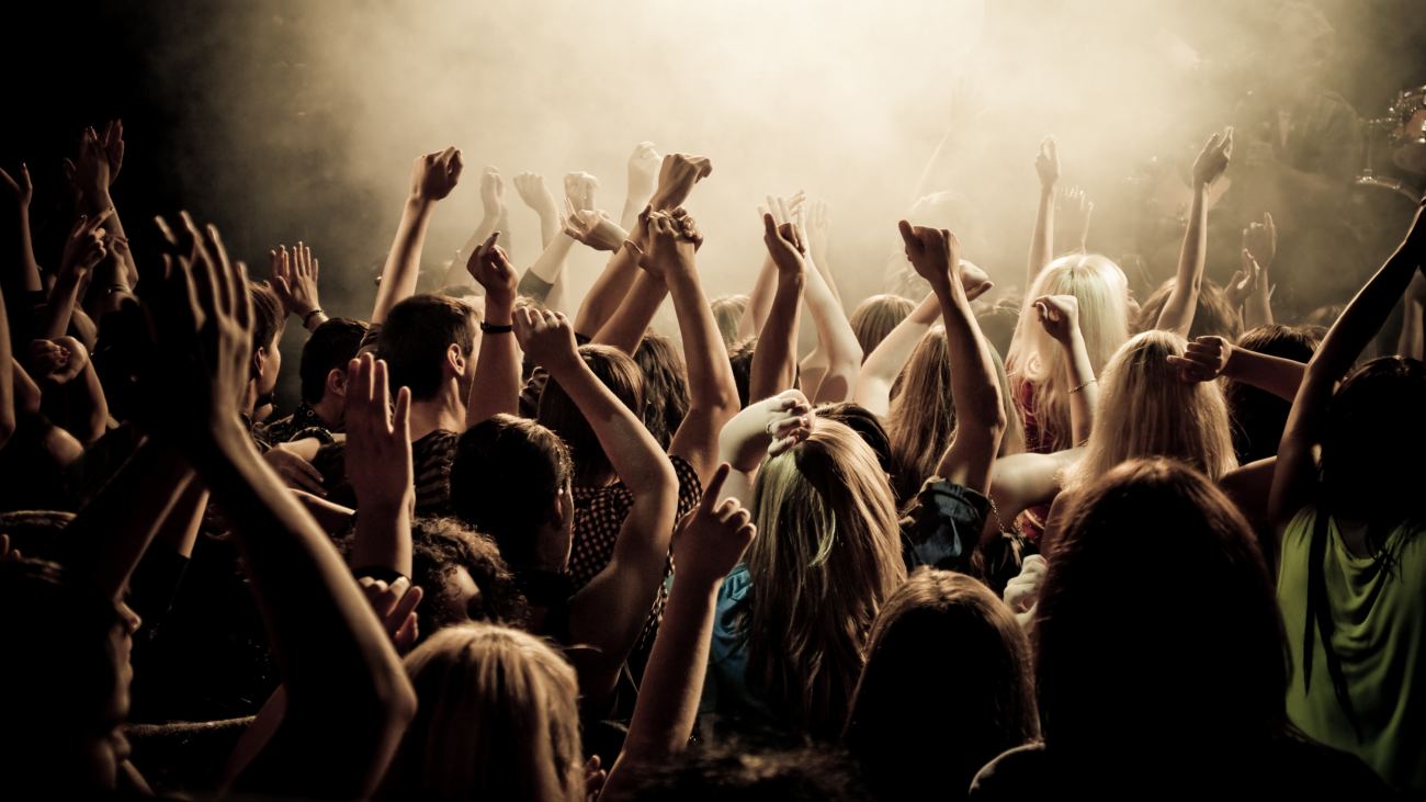 Concert Crowd Wallpaper