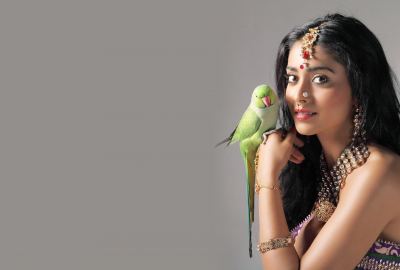 Actress Shriya Saran With Parrot Wallpaper