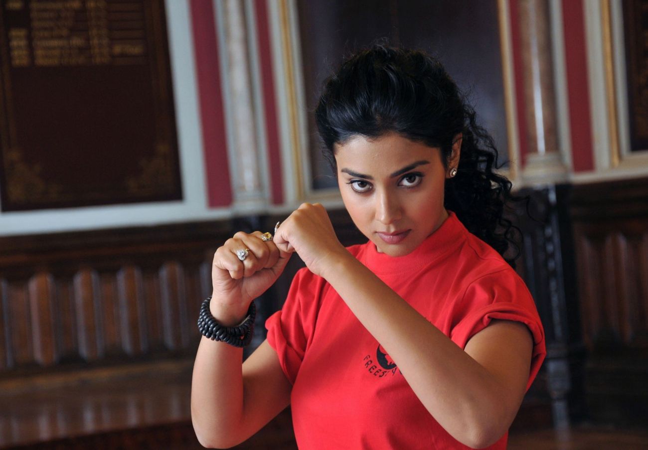 Shriya Saran in Fighting Mood Wallpaper