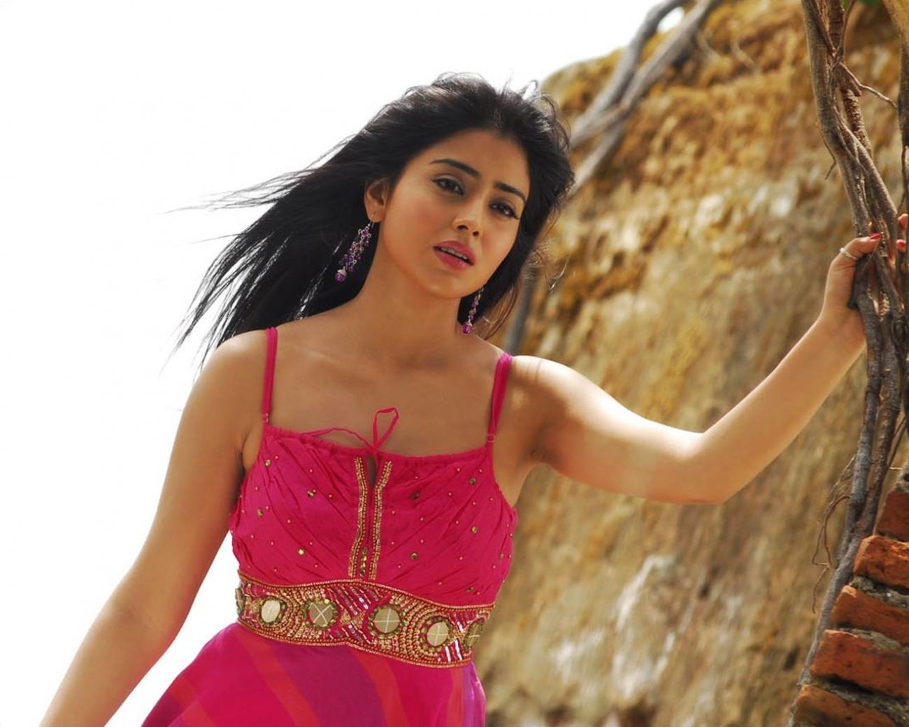 Shriya Saran Wallpaper
