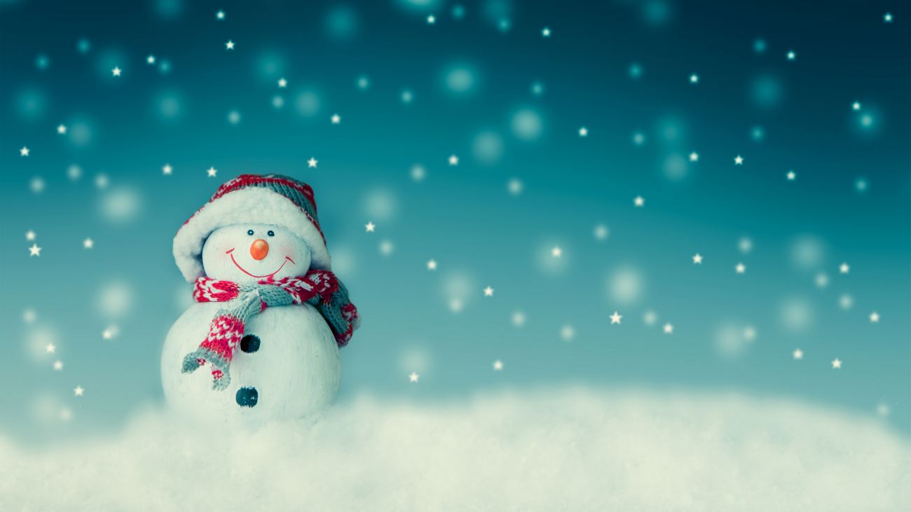 Christmas Cute Snowman
