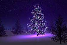 Christmas Tree With Light Decorations