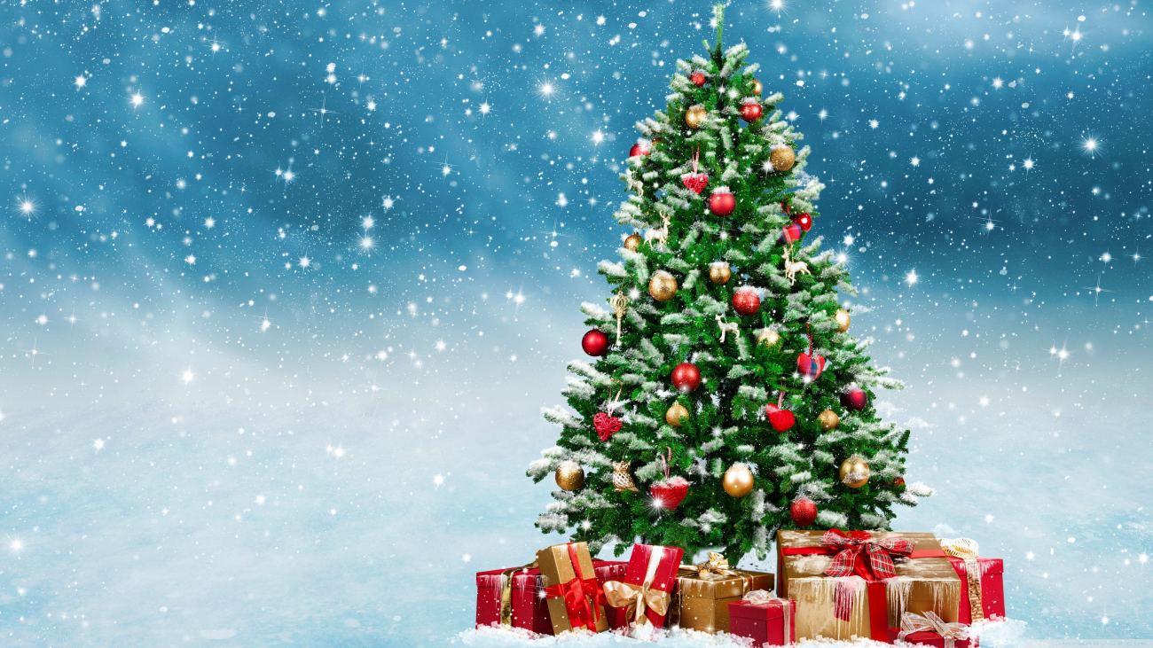 Christmas Trees Decorated in Red and Gold Wallpaper