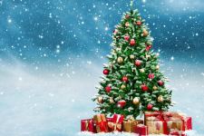 Christmas Trees Decorated in Red and Gold Wallpaper