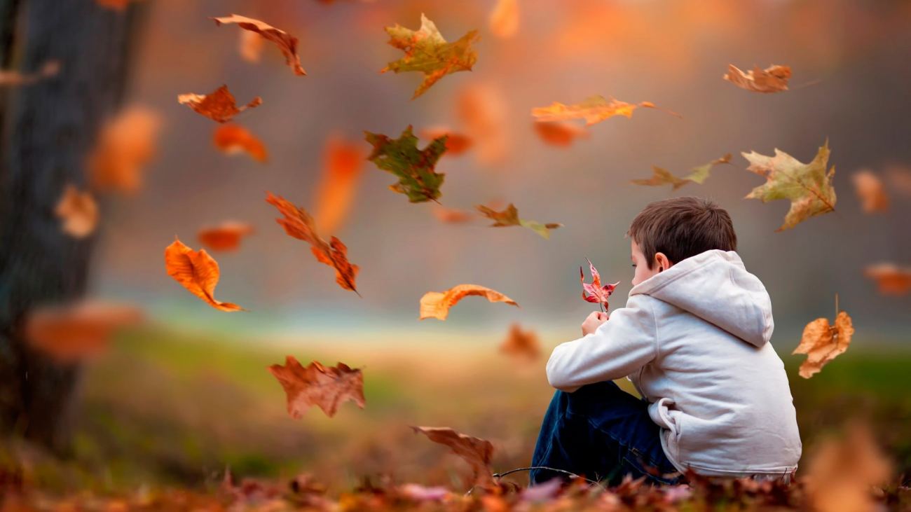 Boy Wearing White Hoodie Sitting on Ground With Maple Leaves