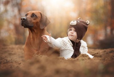 Gallant Baby Boy With Dog Photo